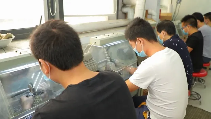 12 Months Astrology Jewelry Virgo Horoscope Necklace Pendant