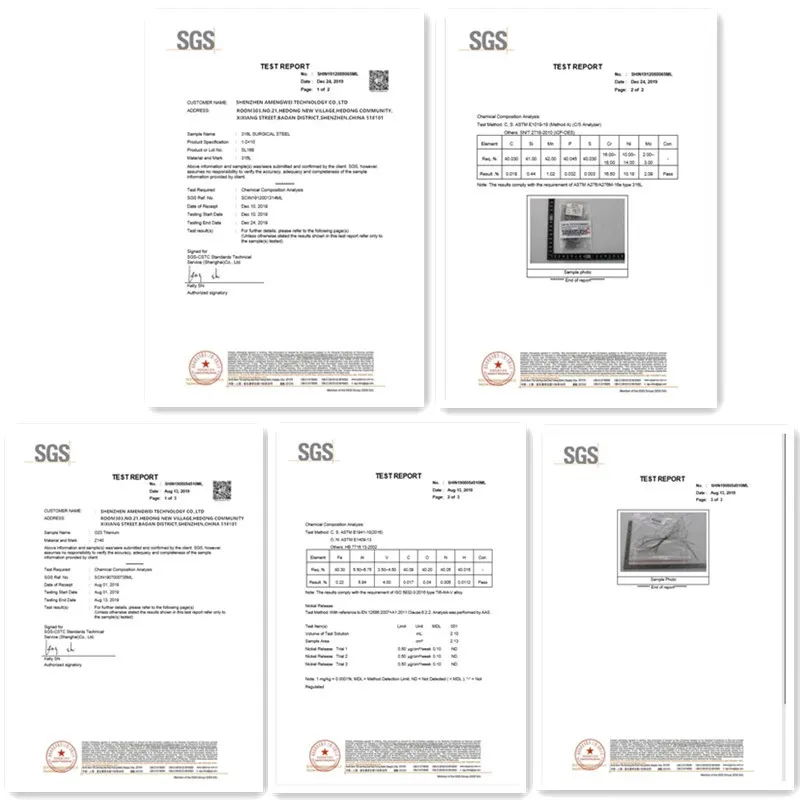 Bright Shine 316L Surgical Stainless Steel Jewelry Piercings Hinged Segment Ring