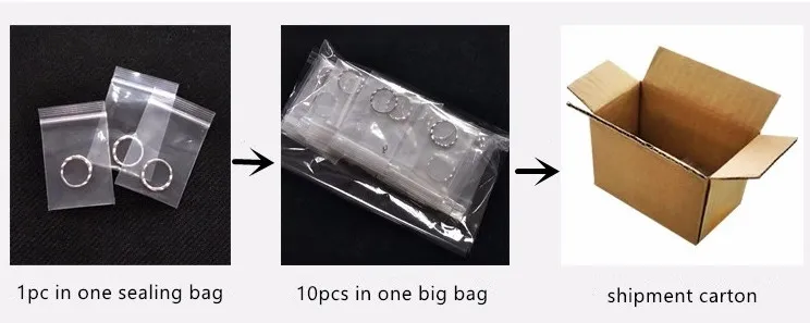 Bright Shine 316L Surgical Stainless Steel Jewelry Piercings Hinged Segment Ring