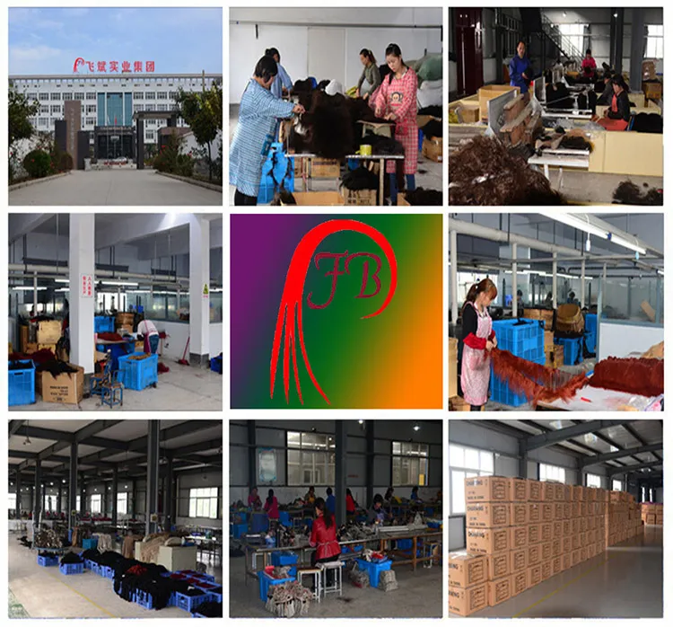 Raw Virgin Hair Kinky Curly Human Hair Cheap Brazilian Hair