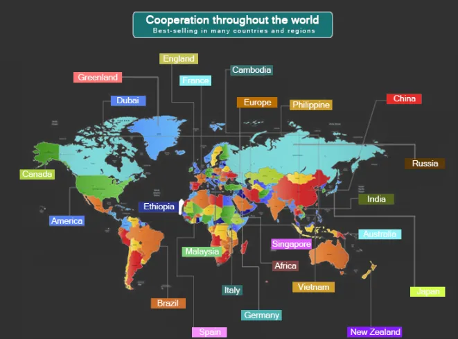 Fashion Switch with Lobster Clasp Necklace Anklet Hip Hop Men′s Jewelry Flat Snake with Clasp Gold Plated Stainless Steel 18inch