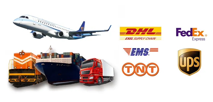 Female Elegant 12 Necklace Pendants Charm Gold Chain Choker Astrology Necklaces