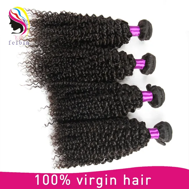 Human Brazilian Virgin Hair Afro Kinky Bulk