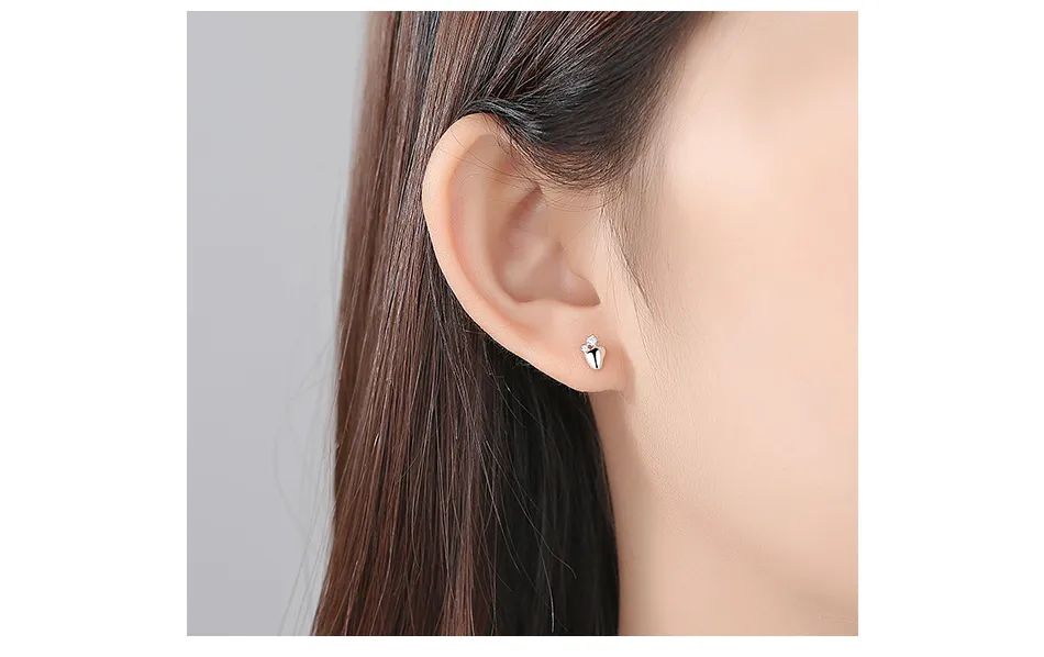 Jewelry Design 925 Silver Earrings Women Statement Earings Stud