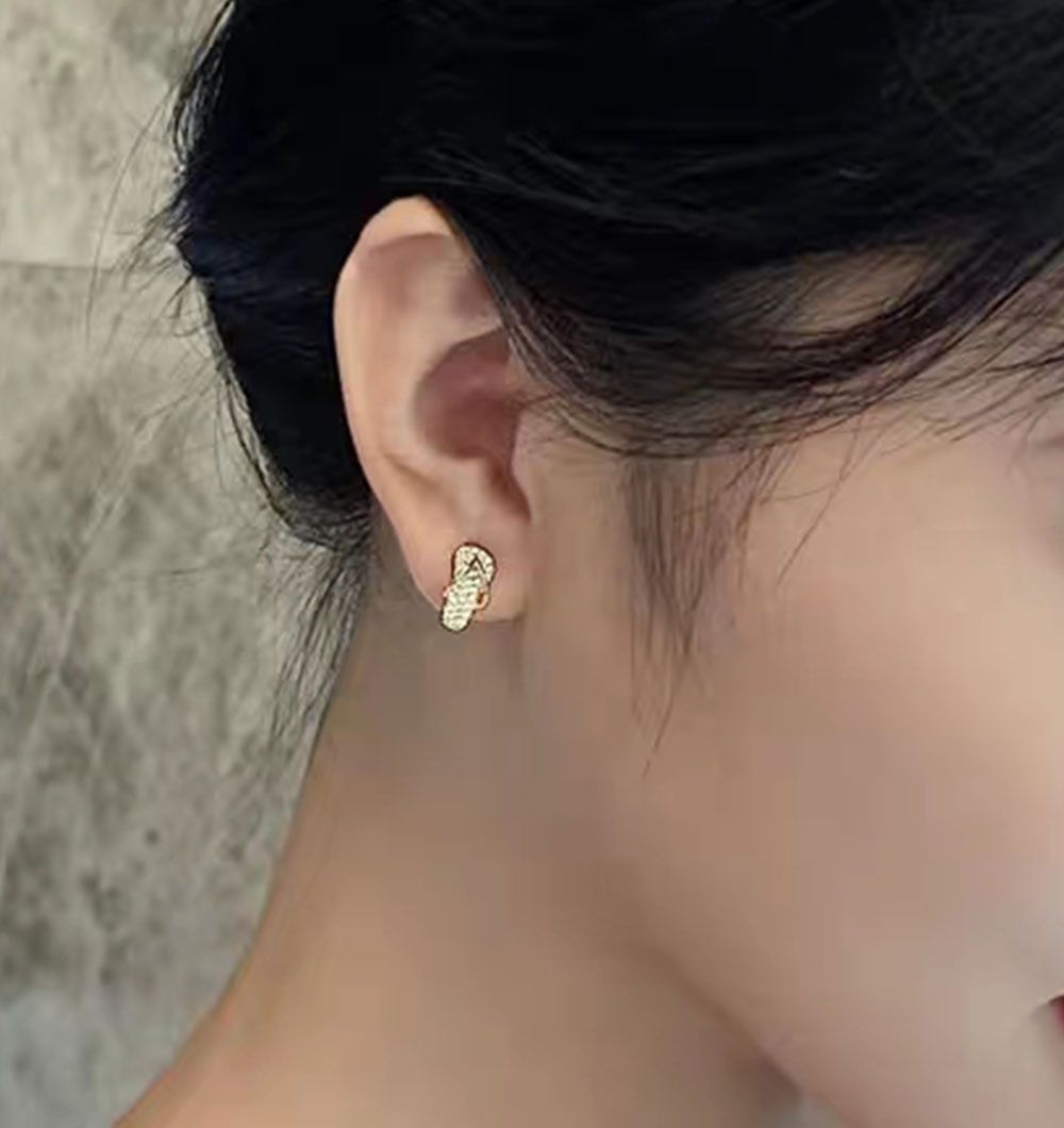 New Arrive Creative Calceolate 925 Sterling Silver AAA CZ Earring Fashion Jewellery for Girls