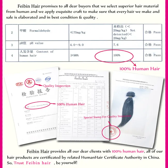 Straight Lace Frontal Closure Brazilian Virgin Hair 13X6 Frontal