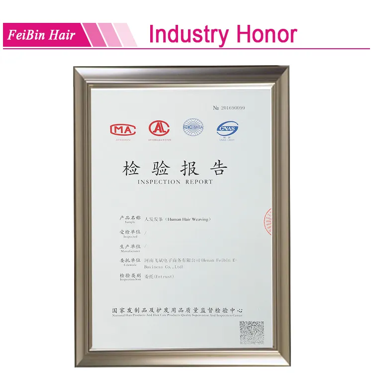 Wholesale Price 100% Human Remy Virgin Brazilian 13*4 Frontal Lace Closure